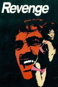 Revenge – Eine gefährliche Affäre (1971)