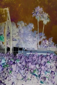 Revisited Remunerations Rapturously Collapse When Recompensed (2017)