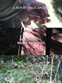 Roadsides and Waste Grounds (2012)