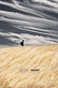 Ronan's Escape (2010)
