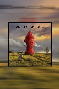Rush: Signals (40th Anniversary Edition) (2023)