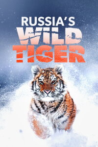 Russia's Wild Tiger (2022)