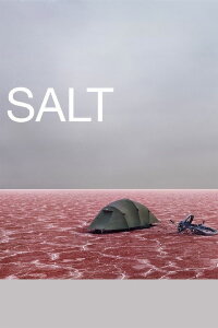 Salt (2009)