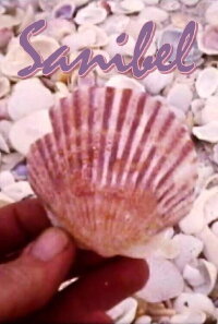 Sanibel (1978)