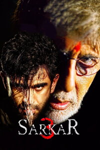 Sarkar 3 - Tödliche Geschäfte (2017)