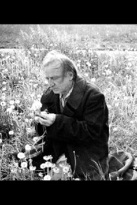 Scardanelli (2003)