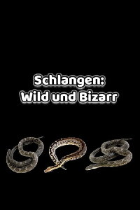 Schlangen: Wild und Bizarr (2020)