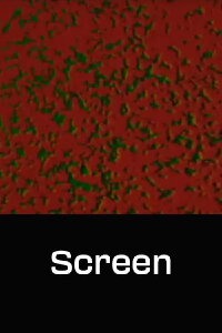 Screen (1969)