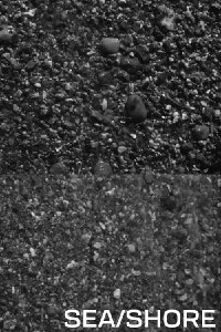 Sea/Shore (1979)