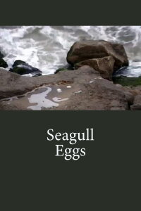 Seagull's eggs (2008)