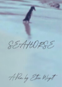 Seahorse (2024)