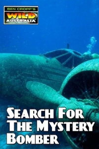 Search for the Mystery Bomber (2007)