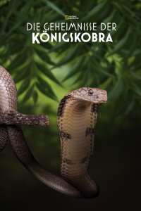 Secrets of the King Cobra (2010)