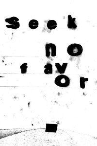 Seek No Favor (2025)