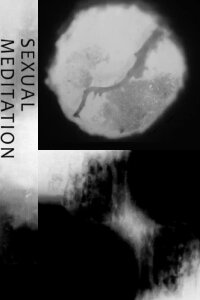 Sexual Meditation (2013)