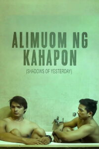 Shadows of Yesterday (2015)