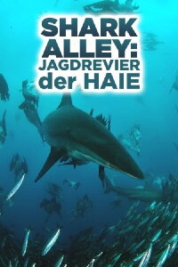 Shark Alley: Jagdrevier der Haie (2015)