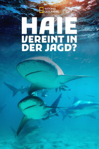 Shark Gangs (2021)