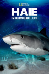 Sharks of the Bermuda Triangle (2020)