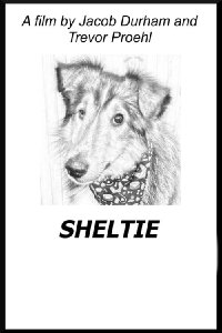 Sheltie (2020)