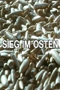 Sieg im Osten (1993)