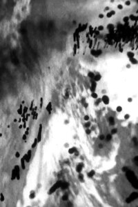 Silver Traces (1976)