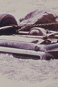 Sincerity V (1980)