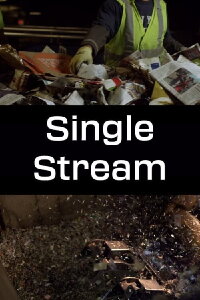 Single Stream (2014)