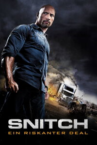 Snitch – Ein riskanter Deal (2013)