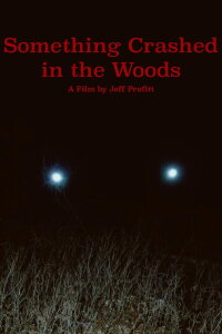 Something Crashed in the Woods (2019)