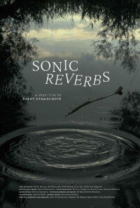 Sonic Reverbs (2022)