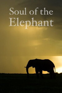 Soul of the Elephant (2015)