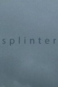 Splinter (2013)