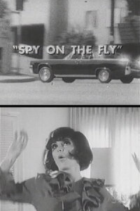 Spy on the Fly (1967)