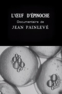Stickleback Eggs (1925)