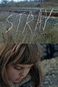Stray (2013)