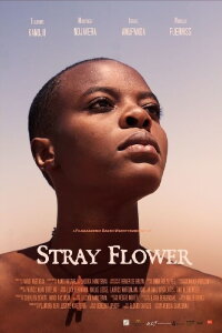 Stray Flower (2022)