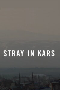 Stray in Kars (2022)