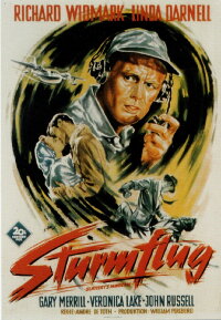 Sturmflug (1949)