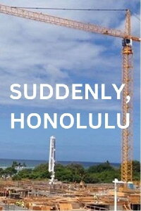 Suddenly, Honolulu (2015)