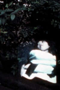 SUMMER IS GONE (1978)