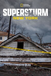 Supersturm New York (2012)