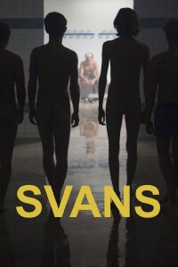 Swans (2016)