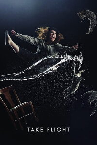 Take Flight - The New York Times (2015)