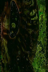 Tamper Oh No (Part II) (2010)