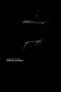 Tapetum Lucidum (2013)