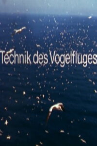 Technik des Vogelfluges (1980)