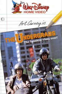Teen-Academy (1985)
