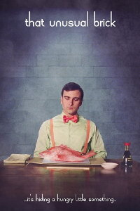 That Unusual Brick (2017)