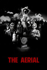 The Aerial (2007)